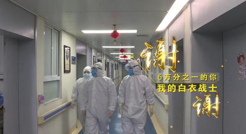 “守護天使”公益律師武漢上崗，為醫護筑起法律后盾